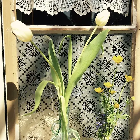 بيت ضيافة Garni Ca' Stella Bignasco
